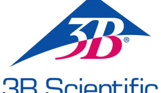 3B Scientific推出新一代解剖模型3B SMART ANATOMY