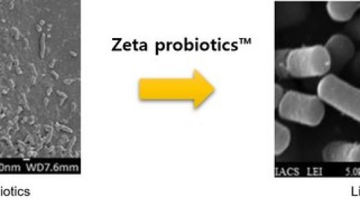 COSMAX NBT推出Zeta Probiotics技术 益生菌肠道存活率提高1000倍