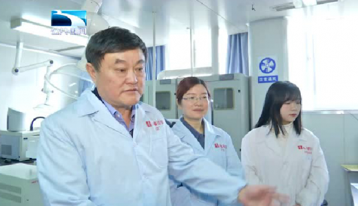 人福医药否认公司业务板块分拆上市