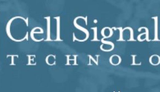Cell Signaling Technology联合Cell Press在中国推出Cell Mentor