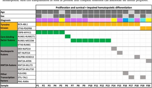 陆道培医学团队于国际学术期刊发文 解析双融合基因阳性白血病发生的规律