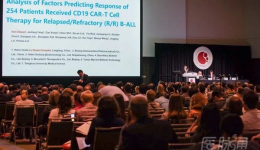 2019 ASH — 张弦教授解读CAR-T治疗R/R B-ALL相关病例统计