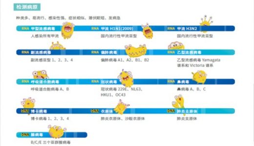 海尔施基因科技核酸检测方案，助力新冠疫情防控