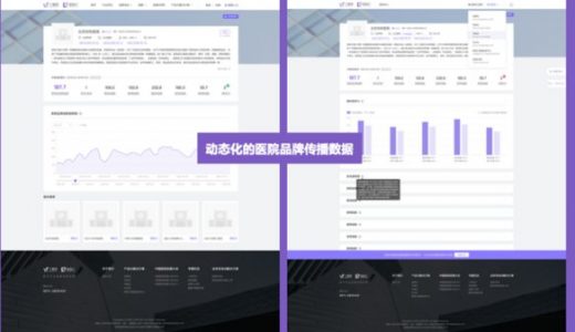 丁香园副总裁帅玉环：医院品牌诊断已进入数字化时代