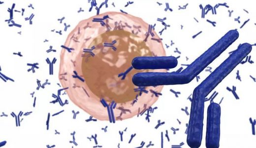 药明奥测携手赛默飞、Mayo Clinic 合作开发新冠病毒抗体检测试剂盒