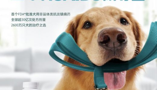 “无痛医院 行业新标杆”疼痛管理高峰论坛暨瑞莫迪上市会圆满举办 硕腾