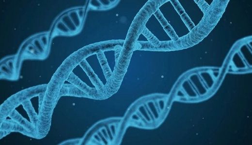 邦耀生物攻克重度地贫难关，其基因疗法在临床试验取得重大进展