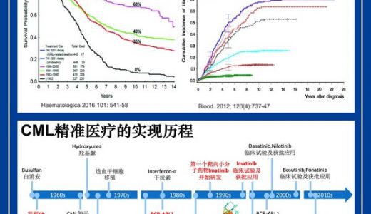 道培检验–创新技术揭示血液肿瘤靶向治疗终极耐药突变的规律