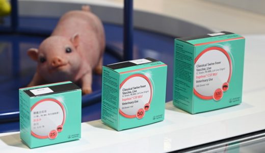 “首秀”进博即成明星展品 勃林格殷格翰发布经典猪瘟解决方案