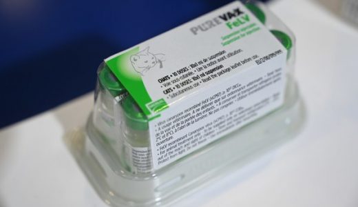 勃林格殷格翰马哮喘吸入疗法及猫白血病疫苗在第三届进博会上中国首秀