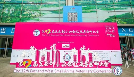 第十二届东西部小动物临床兽医师大会召开