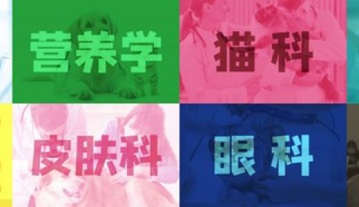 第十三届东西部大会再回成都，兽医嘉年华如约而至