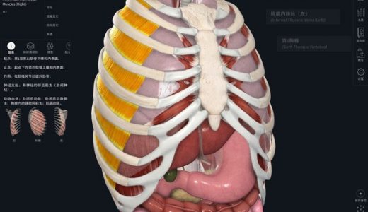爱思唯尔旗下3D4Medical发布中文版Complete Anatomy
