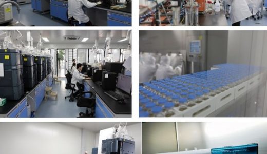 抗体和重组蛋白药物CDMO皓阳生物完成超8000万元A轮融资