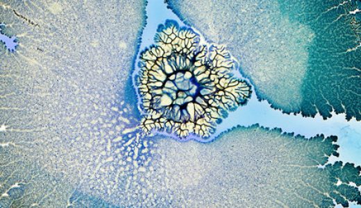 Seed Health完成4000万美元A轮融资，以推出新的产品类别、加速全球分销并扩大临床研究