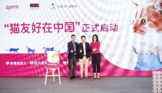提升猫友好诊疗，硕腾“猫友好在中国”项目正式启动