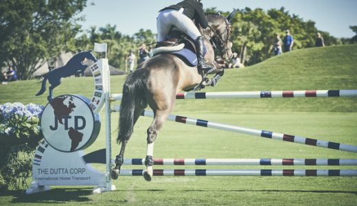 中国首个进口马专用药物骏卫保获批 勃林格殷格翰马业务正式在华开启