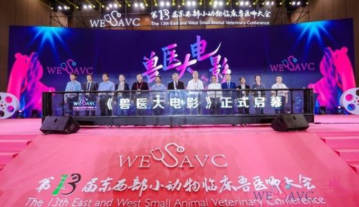 第十三届东西部小动物临床兽医师大会开幕