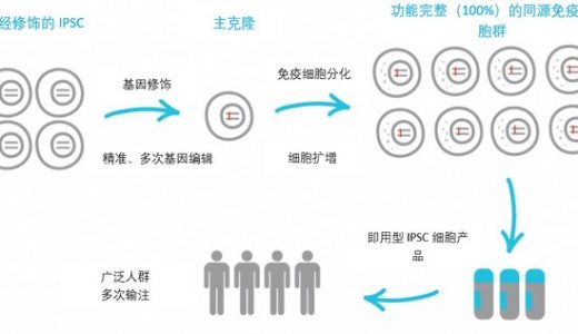 百济神州和Shoreline Biosciences宣布在基因修饰的自然杀伤（NK）细胞疗法领域开展全球研发和商业化战略合作