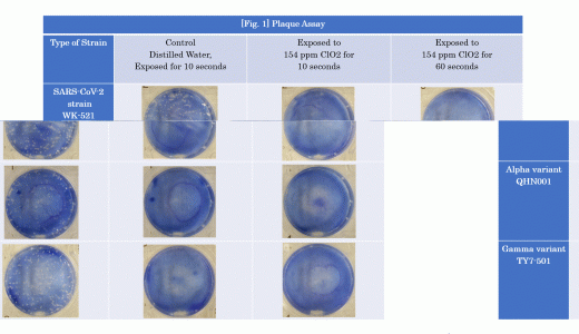 大幸药品与北里大学共同研究的浓度长期稳定型ClO2气体溶液对SARS-CoV-2（新冠肺炎病毒）的灭活率超过99.99%