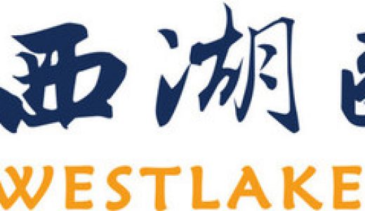 西湖欧米完成Pre-A轮数亿元融资