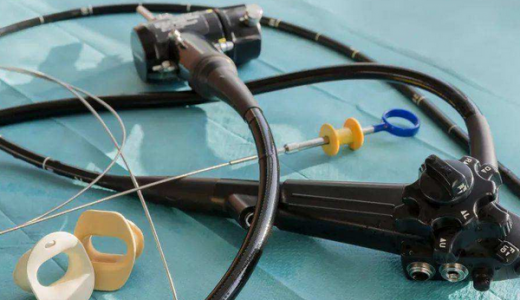 全球一次性内窥镜市场的主要龙头公司排名