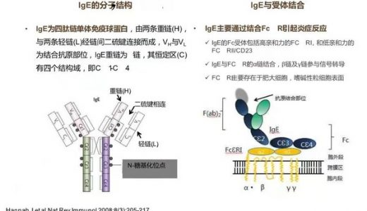 济民可信lgE抗体药物IND获CDE批准