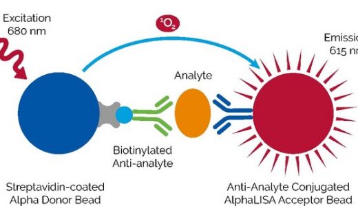 珀金埃尔默推出业内首款用于CHO HCP残留检测及定量检测试剂盒