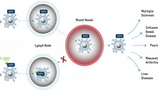 药渡：Challenge the best-中国Biotech走向国际