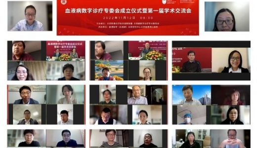 血液病数字诊疗专委会第一次学术交流会议举办