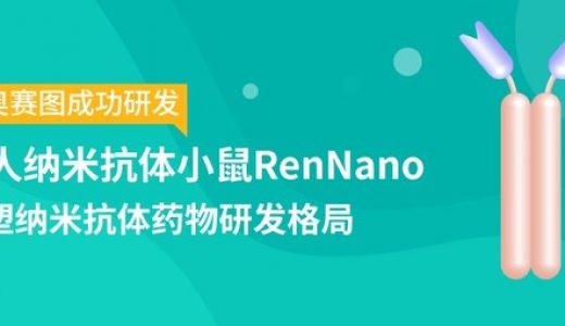 百奥赛图集成了全人单抗、全人双能力抗和全人纳米抗体等全面的抗体药物开发
