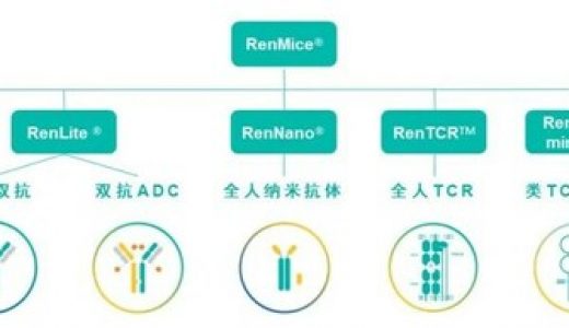 百奥赛图宣布自主研发全人抗体/TCR小鼠系列RenMice，助力新药研发