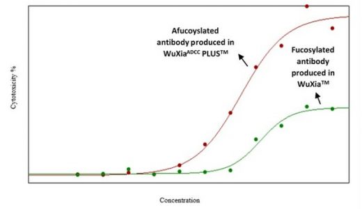 药明生物推出全新无岩藻糖基化抗体平台WuXiaADCC PLUS