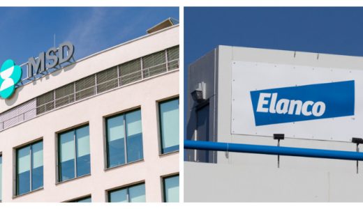 辉瑞首席科学官将离职；默沙东完成收购礼蓝动保水产业务；礼来将收购Morphic扩展免疫学管线 | 日报