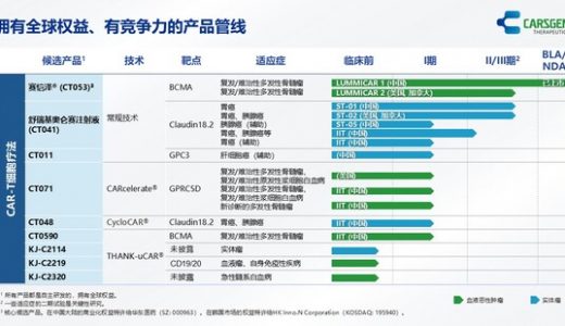 科济药业2024年上半年收益约为人民币600多万元，主要来自赛恺泽