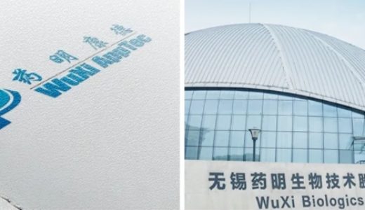 药明康德、药明生物回应出售业务传言；阿斯利康与石药集团达成近20亿美元授权；CVS将在全美裁减约2900名员工 | 日报