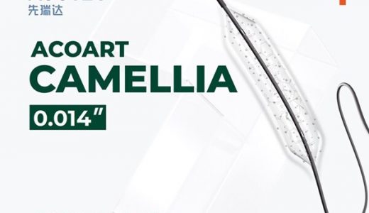 先瑞达紫杉醇释放冠脉球囊扩张导管AcoArt Camellia获NMPA批准上市