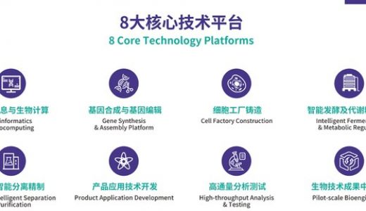 嘉必优2′-FL获批，合成生物学技术落地新里程