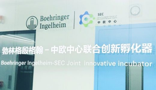 大湾区首个由跨国药企与创新中心深度合作的高规格创新平台正式启用
