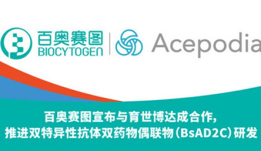 百奥赛图与育世博携手启动双特异性抗体双药物偶联物的共同开发计划