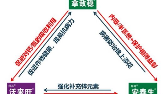 拜耳拿沃安迭代2.0，助力农业高质量发展