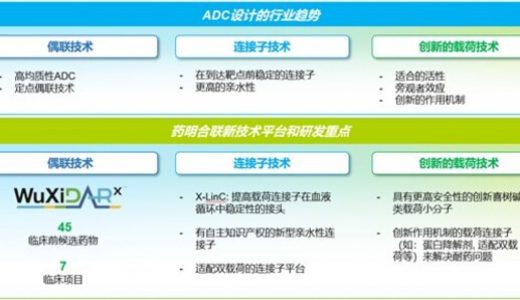 药明合联发布2024年业绩