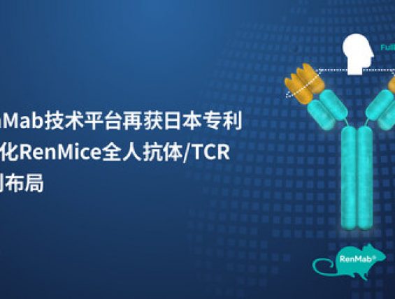 百奥赛图RenMab技术平台获日本专利授权