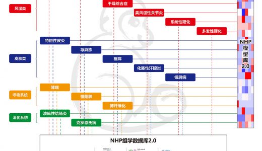 禾开生物推出自免及过敏灵长类动物模型矩阵HKEY-NHP-MATRIX2.0平台