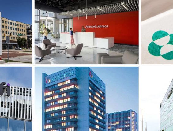 跨国药企在中国 | 礼来、生物梅里埃、墨尼克、史赛克、强生、默沙东、赛诺菲、诺华、欧姆龙、百特、卫材、富士胶片、丸红制药等新动态