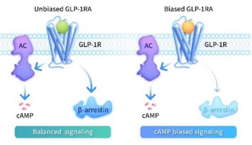先为达埃诺格鲁肽注射液获批上市