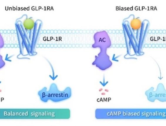 先为达埃诺格鲁肽注射液获批上市
