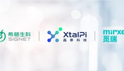 Mirxes觅瑞与晶泰科技、希格生科联合成立合资公司