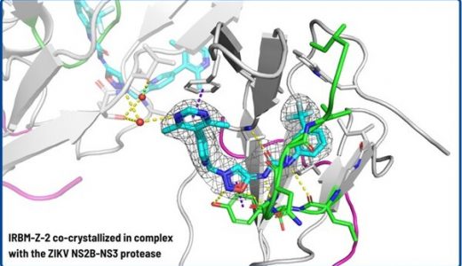 IRBM宣布取得重大科学突破