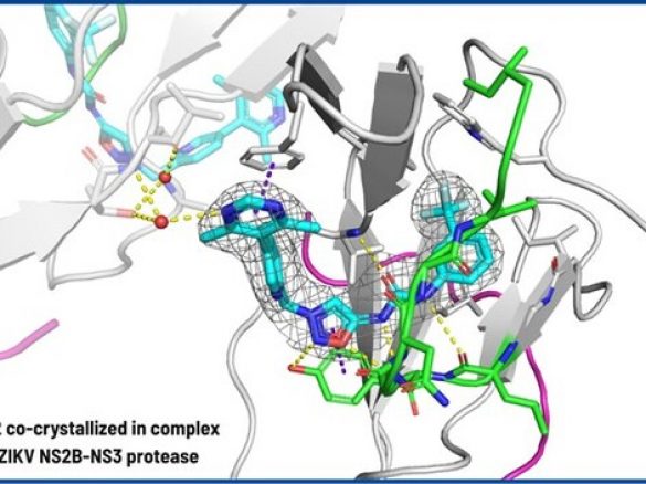 IRBM宣布取得重大科学突破